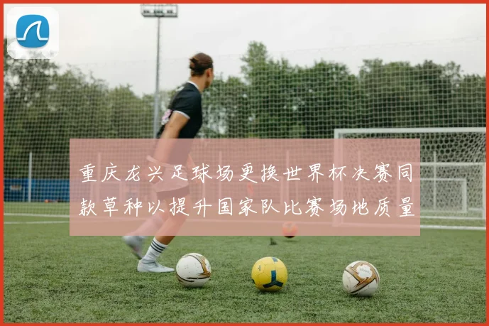 重庆龙兴足球场更换世界杯决赛同款草种以提升国家队比赛场地质量
